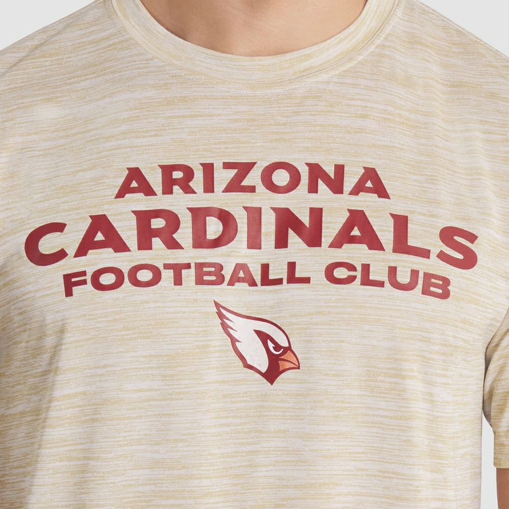 2025 Rivalries Collection Sideline Velocity Dri-FIT T-Shirt - Arizona Cardinals
