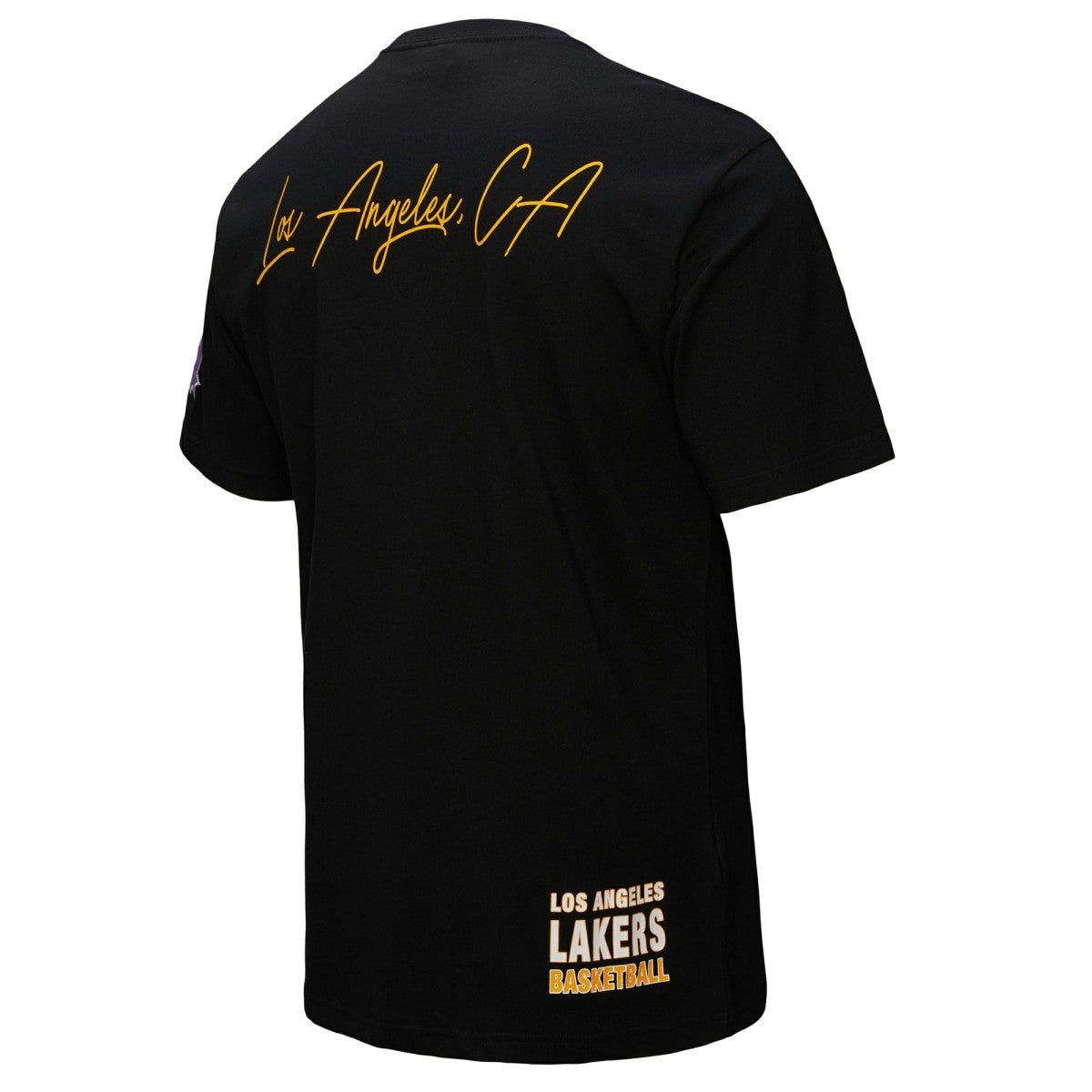NBA Los Angeles Lakers Black Out Collection Vintage Premium T-Shirt