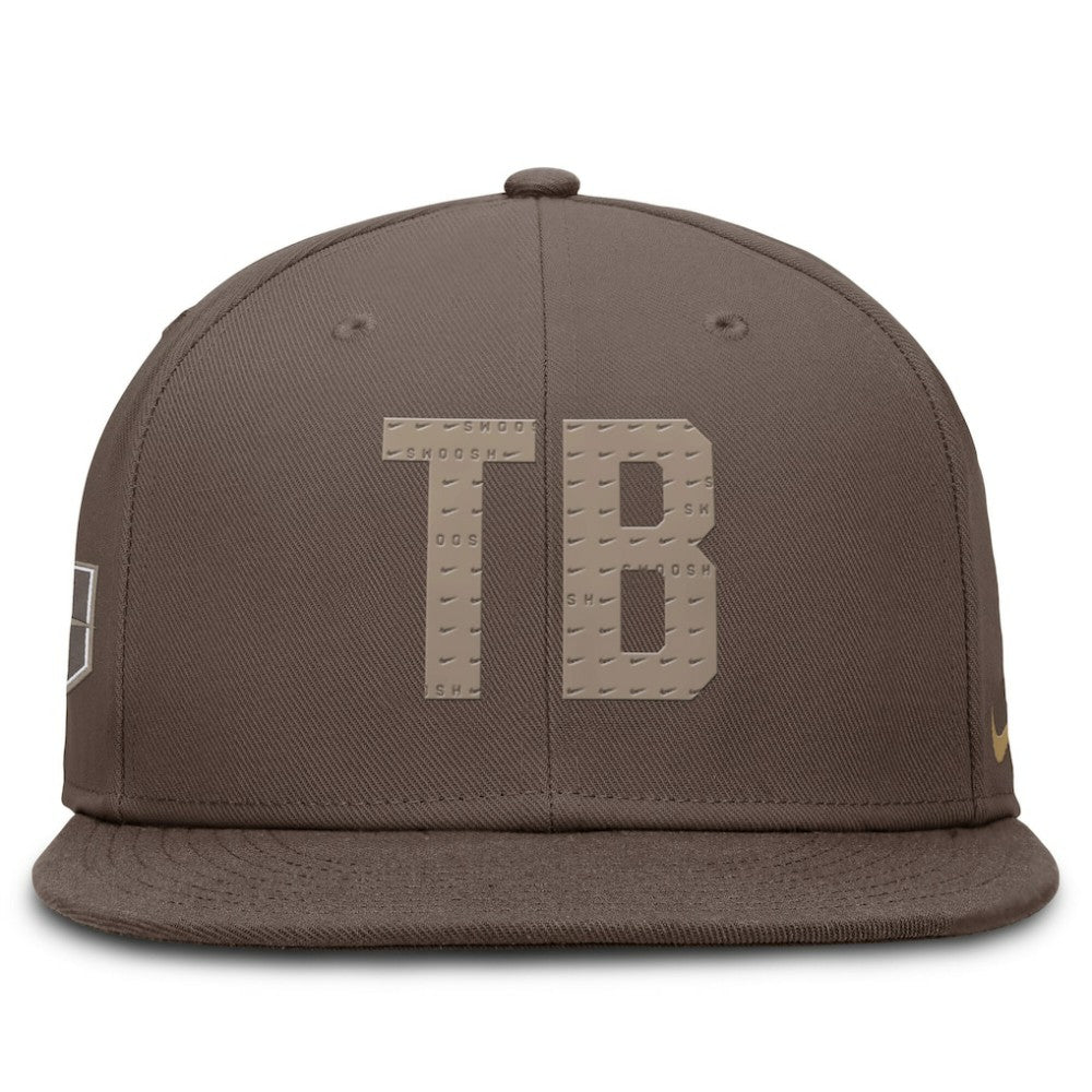 MLB Tampa Bay Rays Nike True Statement 20th AnniversaryPerformance Fitted Hat