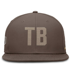 MLB Tampa Bay Rays Nike True Statement 20th AnniversaryPerformance Fitted Hat