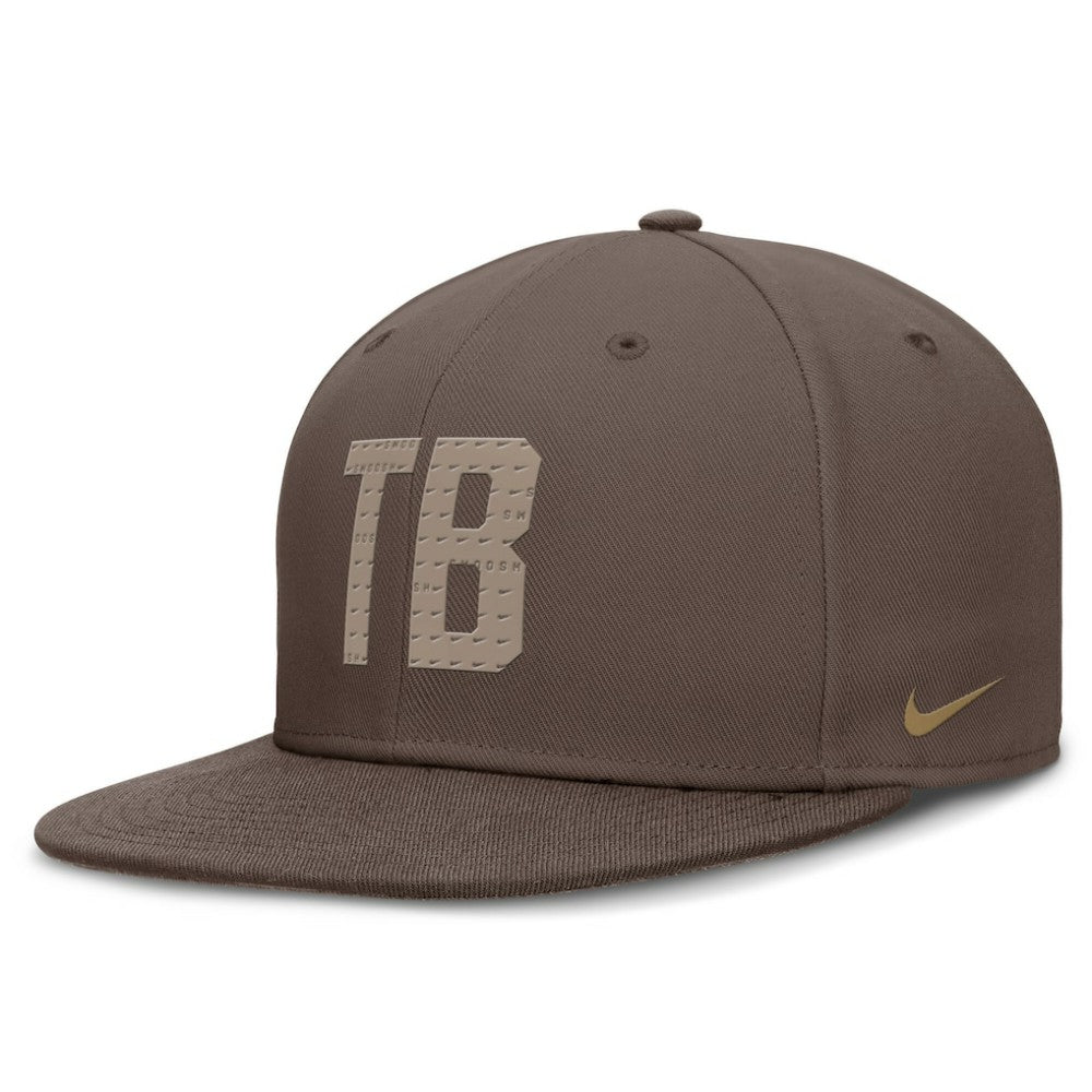 MLB Tampa Bay Rays Nike True Statement 20th AnniversaryPerformance Fitted Hat