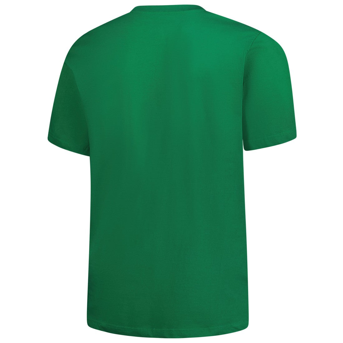 Big & Tall Celtic T-Shirt - Detroit Lions