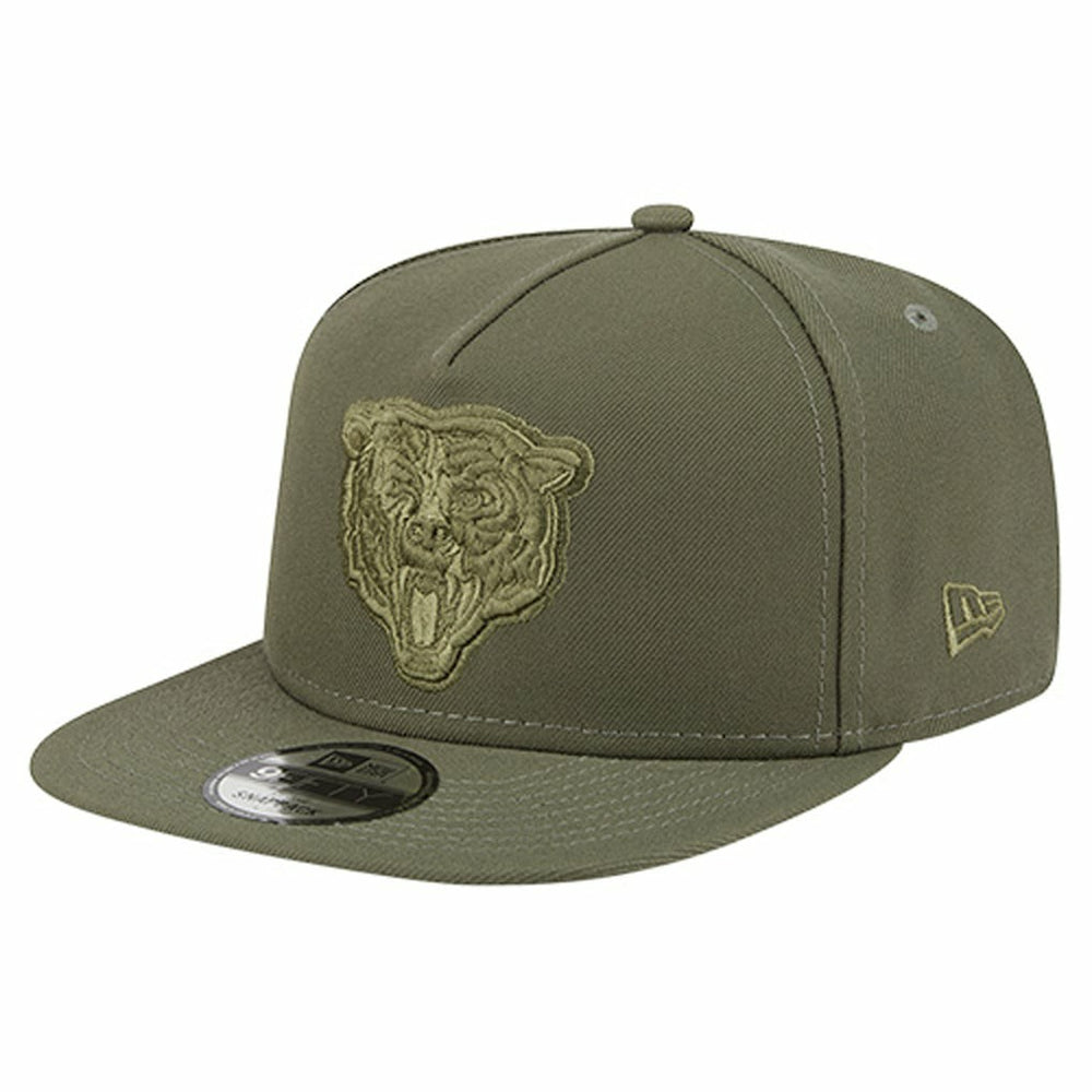 Youth Color Pack A-Frame 9FIFTY Snapback Hat - Chicago Bears