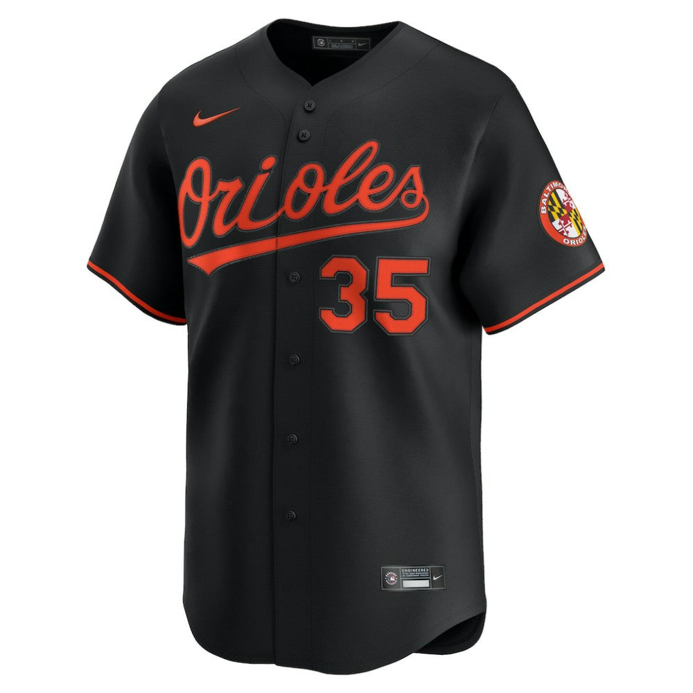 MLB Adley Rutschman Baltimore Orioles Nike Alternate Limited Player Jersey