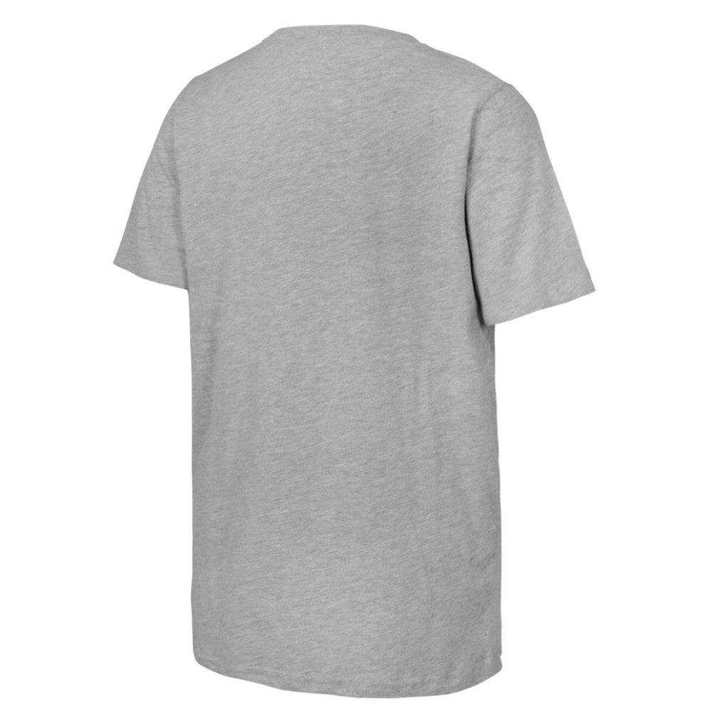 NHL Heather Gray Youth 2025 NHL Stadium Series Columbus Blue Jackets vs. Detroit Red Wings Matchup T-Shirt