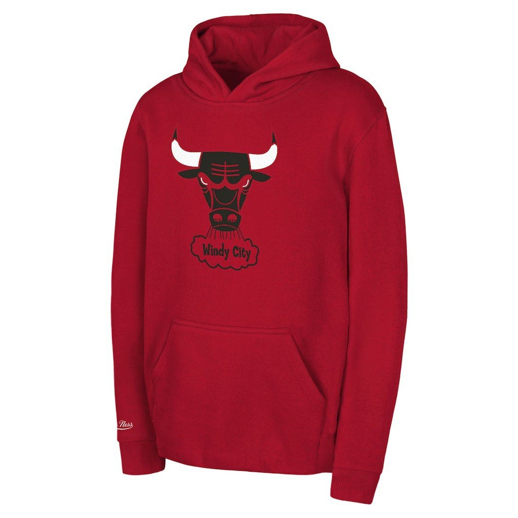 NBA Chicago Bulls Preschool Retro Logo Pullover Hoodie