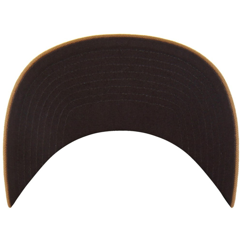 MLB Tampa Bay Rays Carhartt x '47 Trucker Adjustable Hat