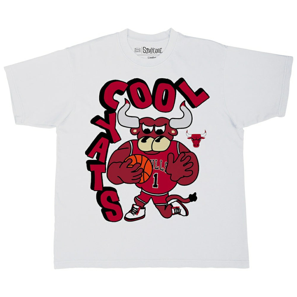 NBA Chicago Bulls Stadium Essentials NBA x Staycool Mascot Oversized T-Shirt sale