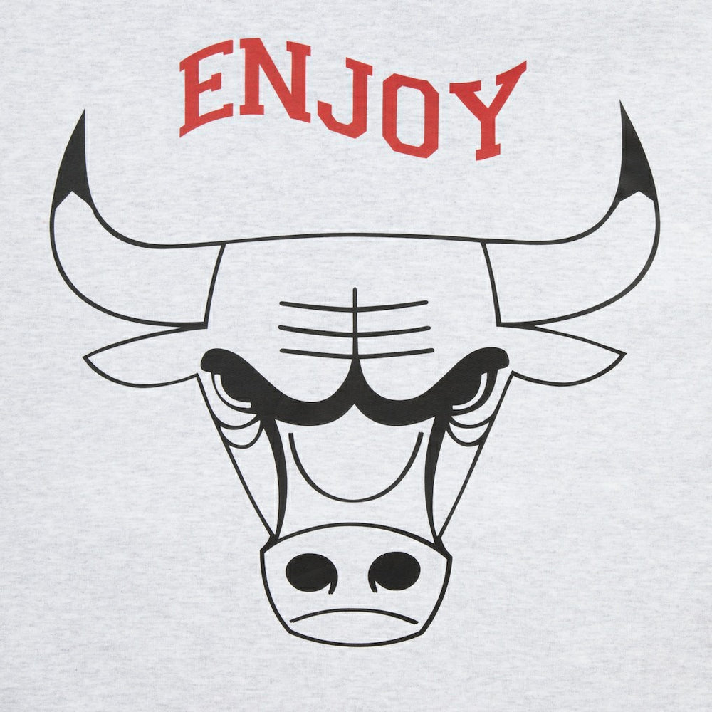 NBA Enjoy Basketball x Chicago Bulls Unisex Hoop Enthusiast Capsule Collection Pullover Hoodie - Heather Gray on sale