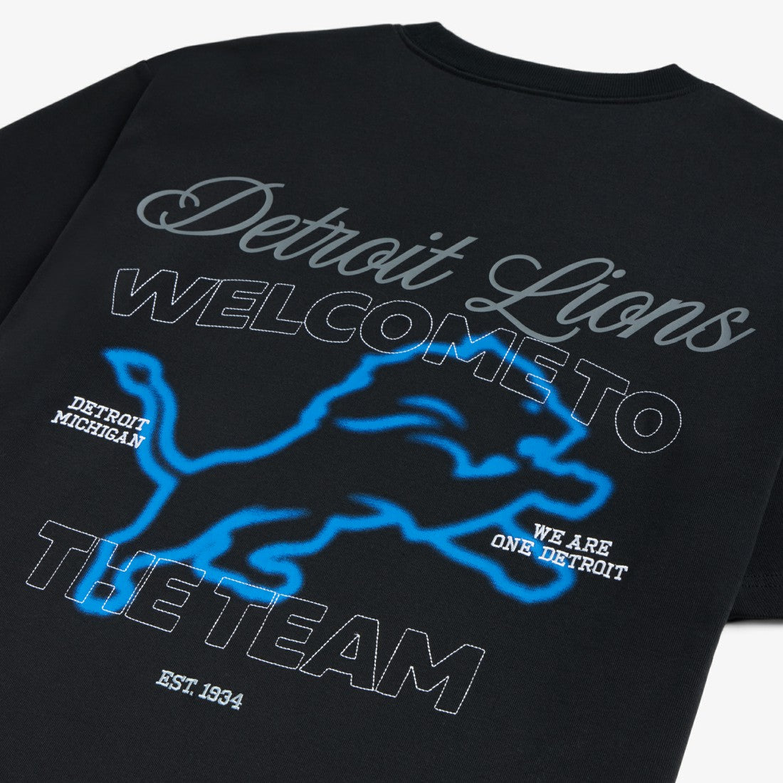 Off Season x NFL Unisex Graphic T-Shirt - Detroit Lions