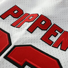 NBA Scottie Pippen Chicago Bulls Player Mesh V-Neck Shirt sale