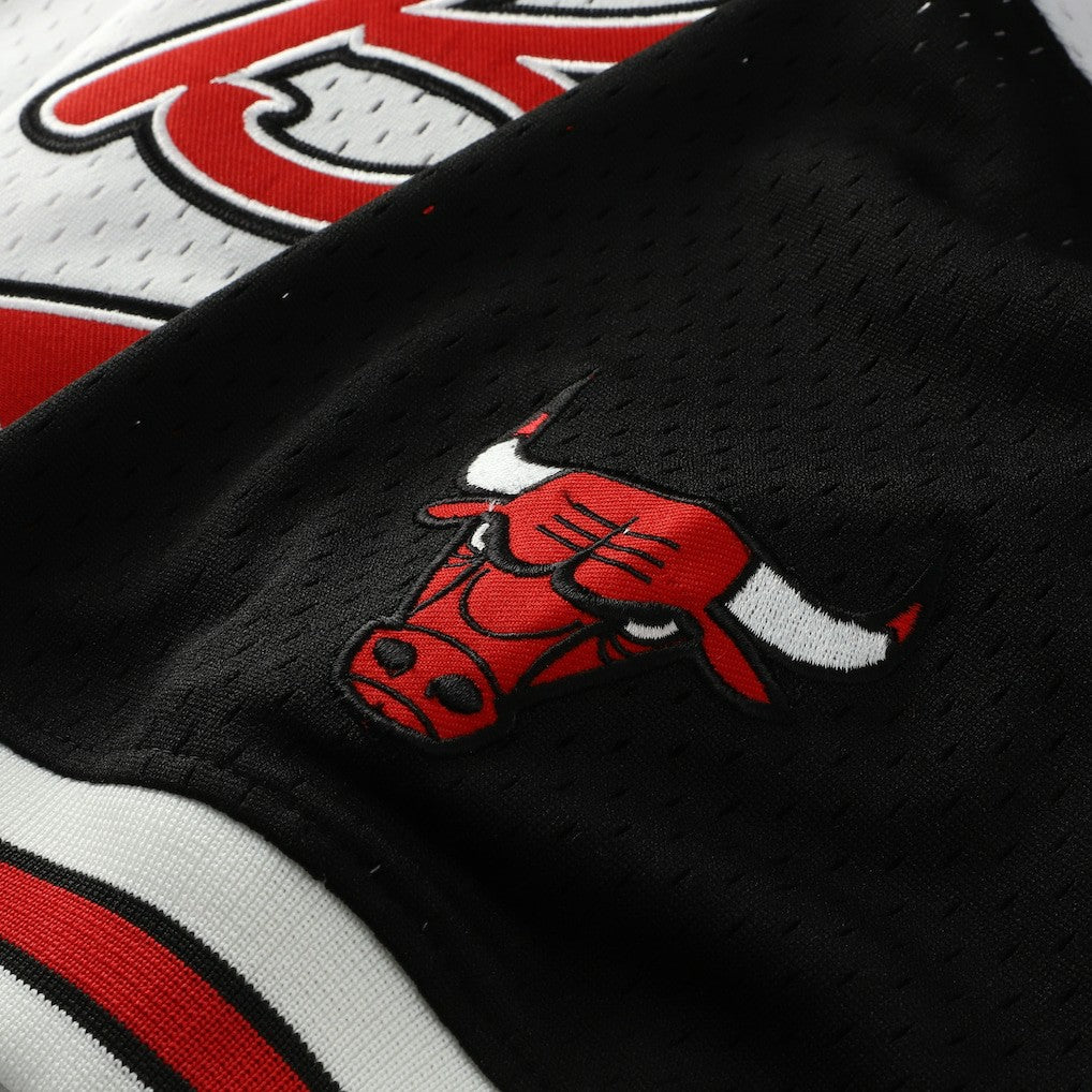 NBA Scottie Pippen Chicago Bulls Player Mesh V-Neck Shirt sale