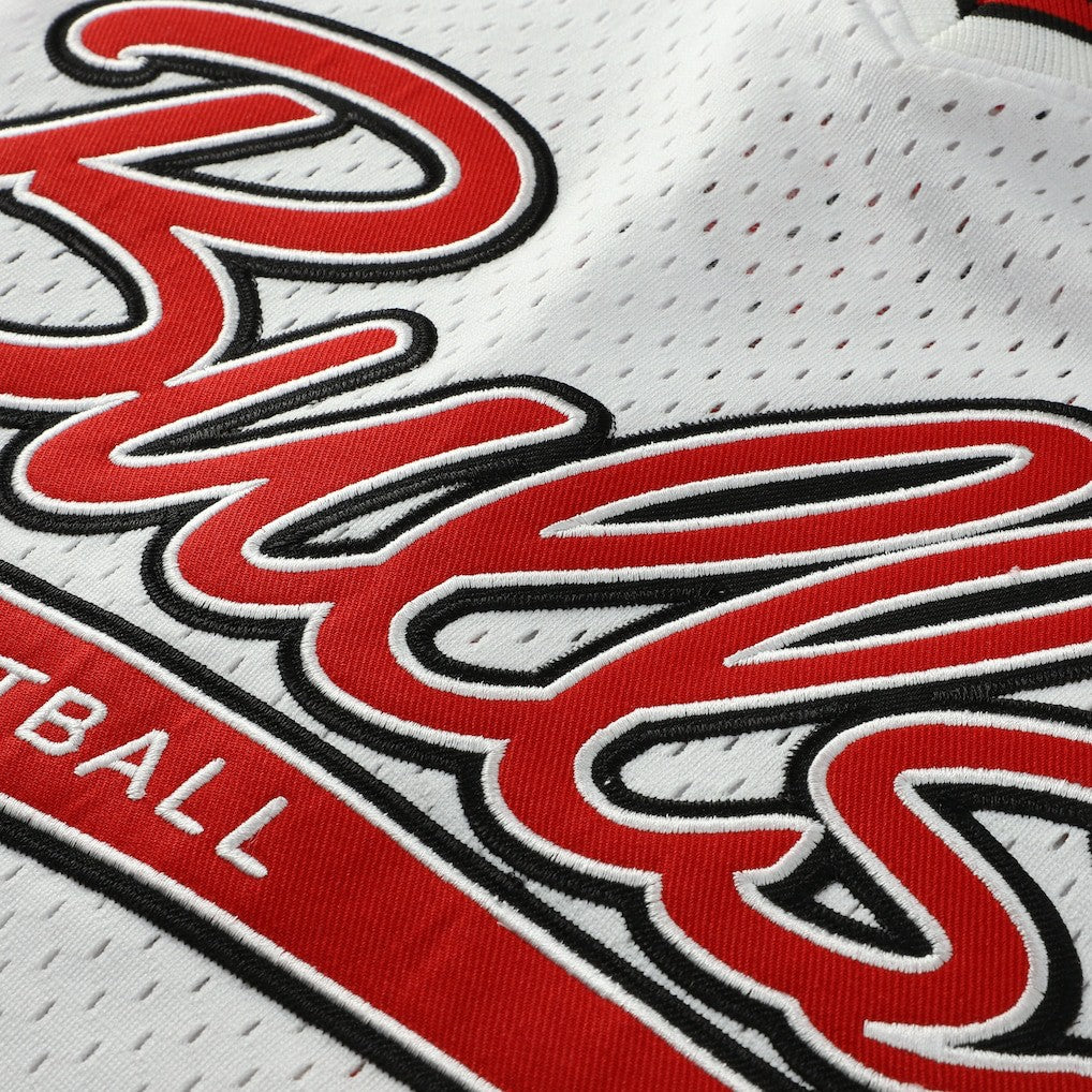 NBA Scottie Pippen Chicago Bulls Player Mesh V-Neck Shirt sale