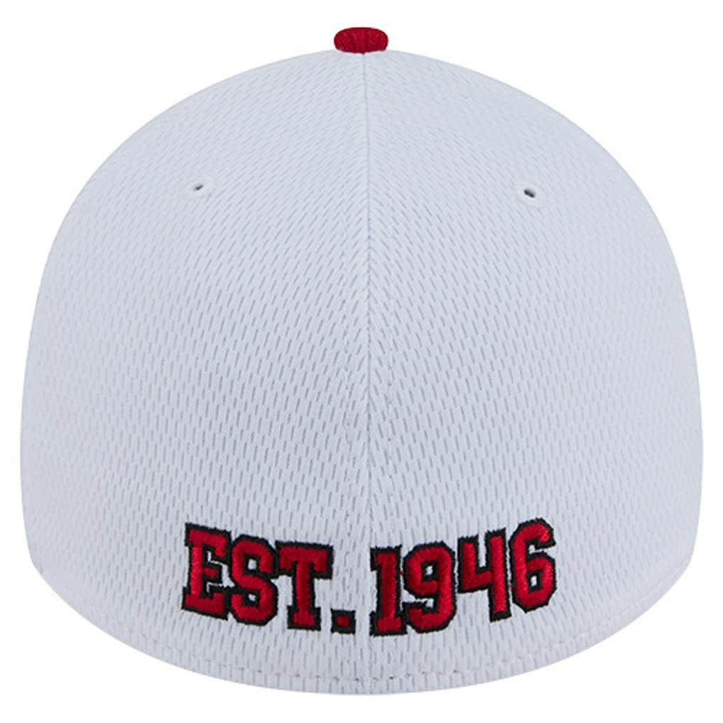Dashmark Rays 39THIRTY Flex Hat - San Francisco 49ers