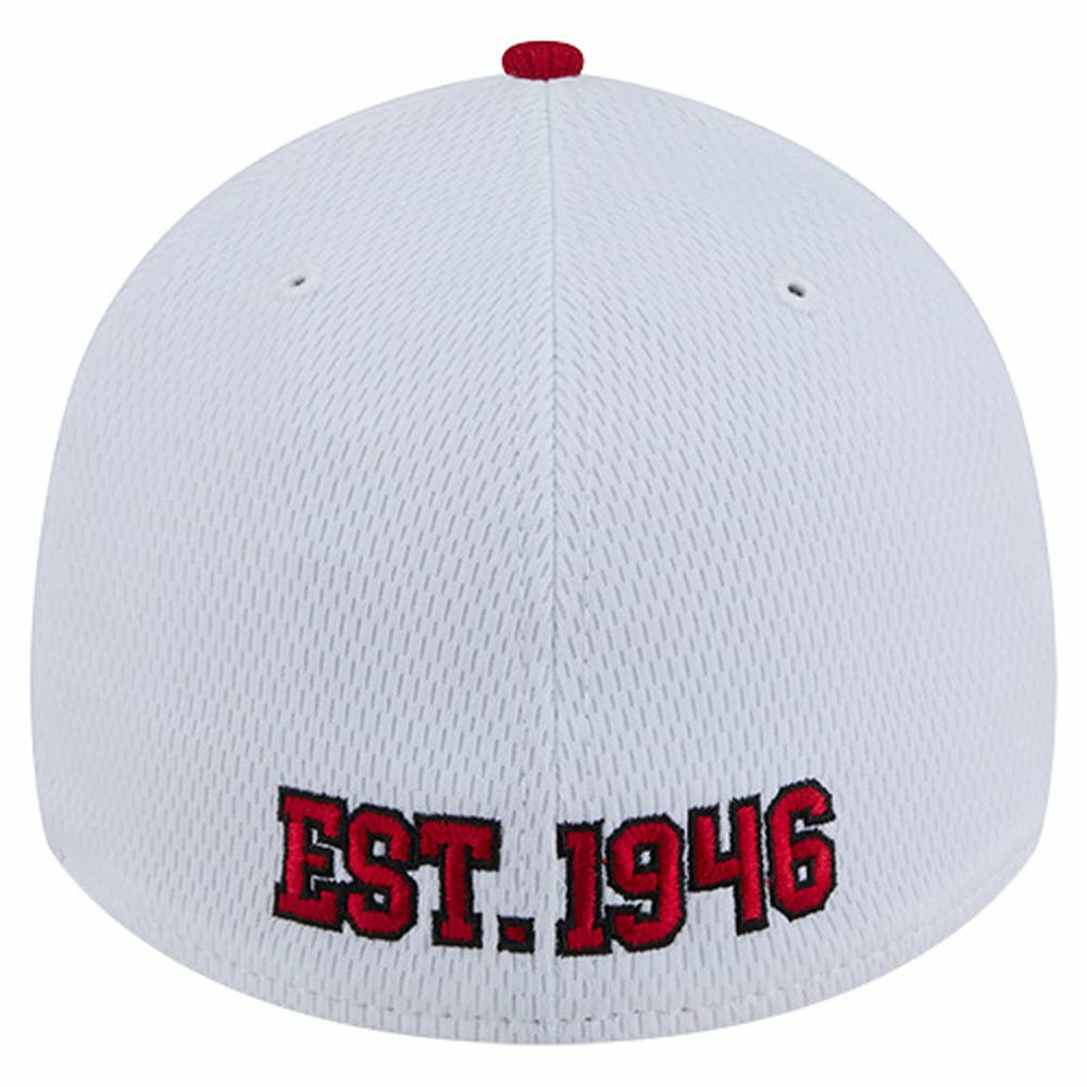 Dashmark Rays 39THIRTY Flex Hat - San Francisco 49ers