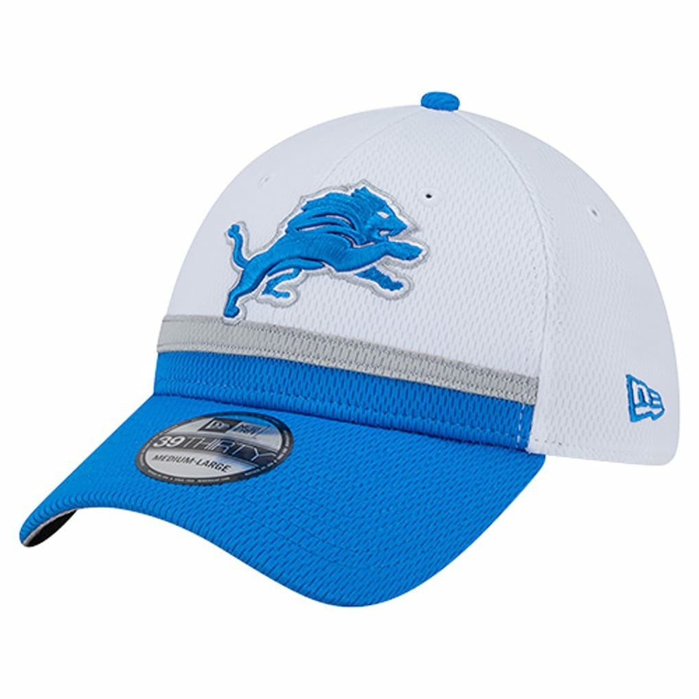 Dashmark Rays 39THIRTY Flex Hat - Detroit Lions