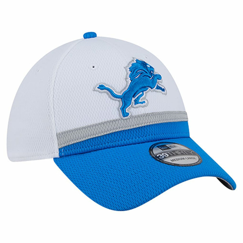 Dashmark Rays 39THIRTY Flex Hat - Detroit Lions