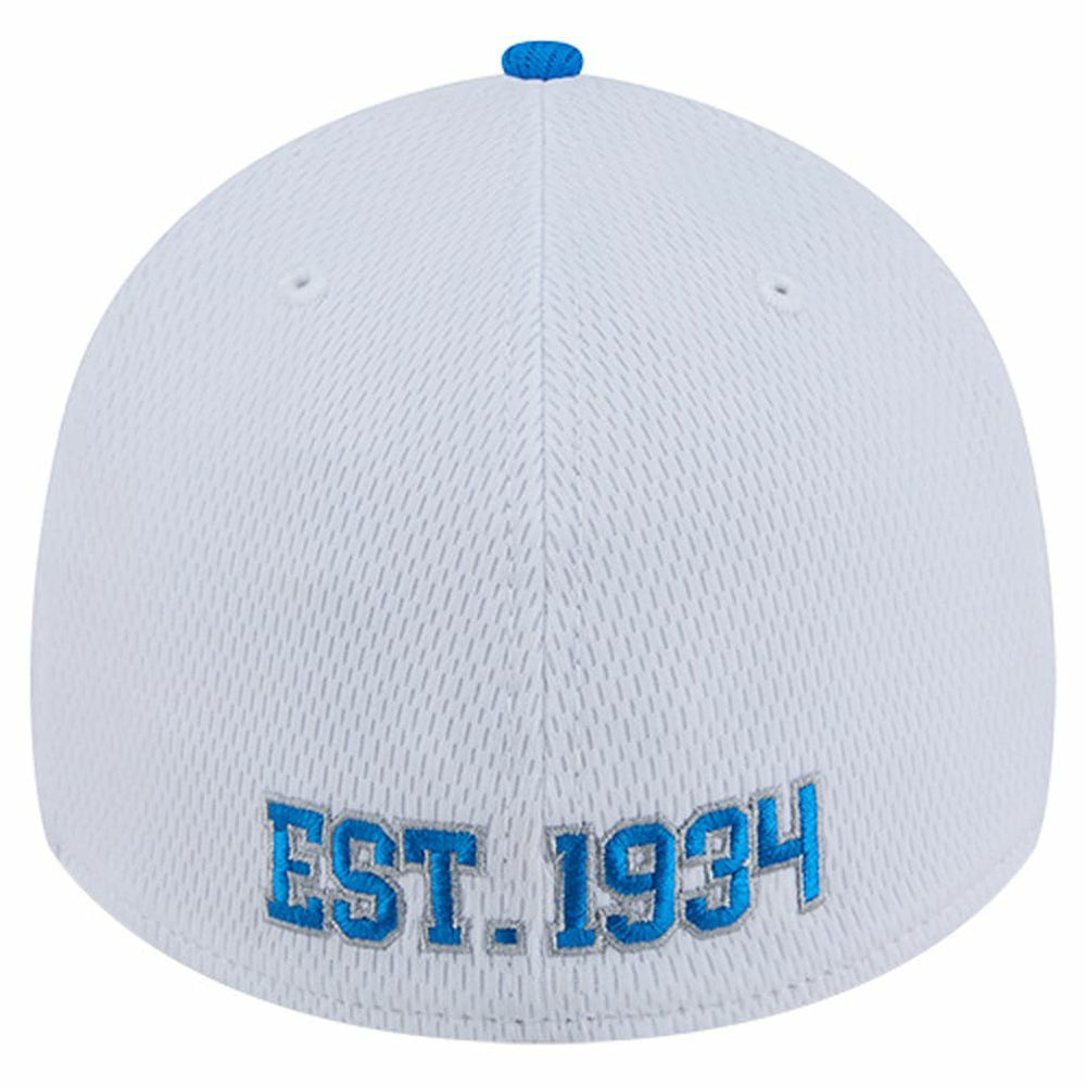 Dashmark Rays 39THIRTY Flex Hat - Detroit Lions