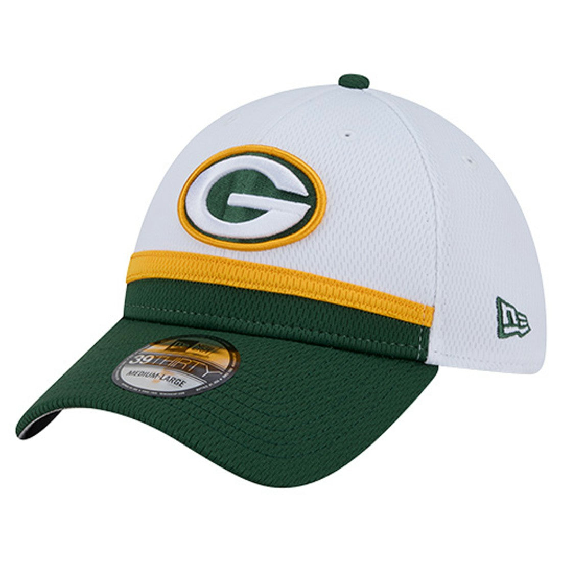 Dashmark Rays 39THIRTY Flex Hat - Green Bay Packers