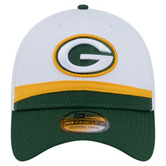 Dashmark Rays 39THIRTY Flex Hat - Green Bay Packers