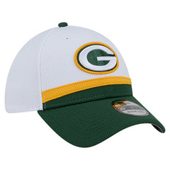 Dashmark Rays 39THIRTY Flex Hat - Green Bay Packers