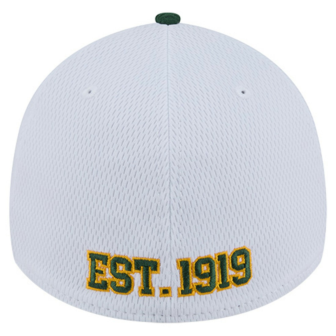 Dashmark Rays 39THIRTY Flex Hat - Green Bay Packers