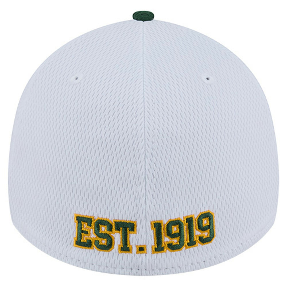 Dashmark Rays 39THIRTY Flex Hat - Green Bay Packers