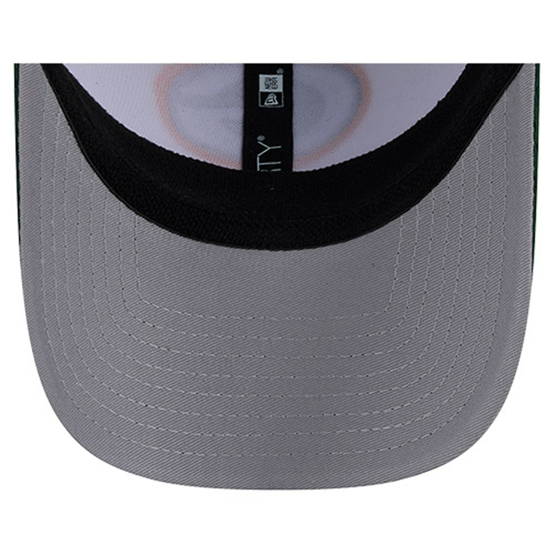 Dashmark Rays 39THIRTY Flex Hat - Green Bay Packers