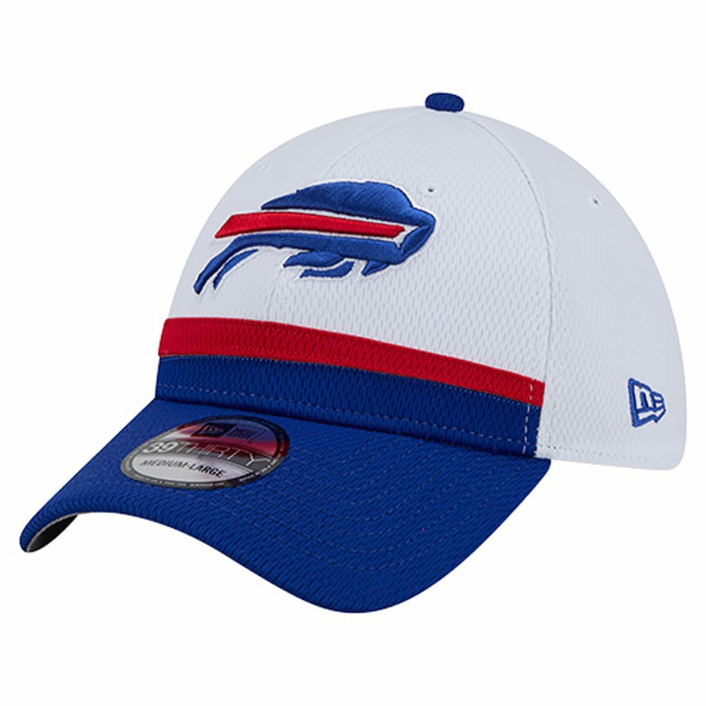 Dashmark Rays 39THIRTY Flex Hat - Buffalo Bills