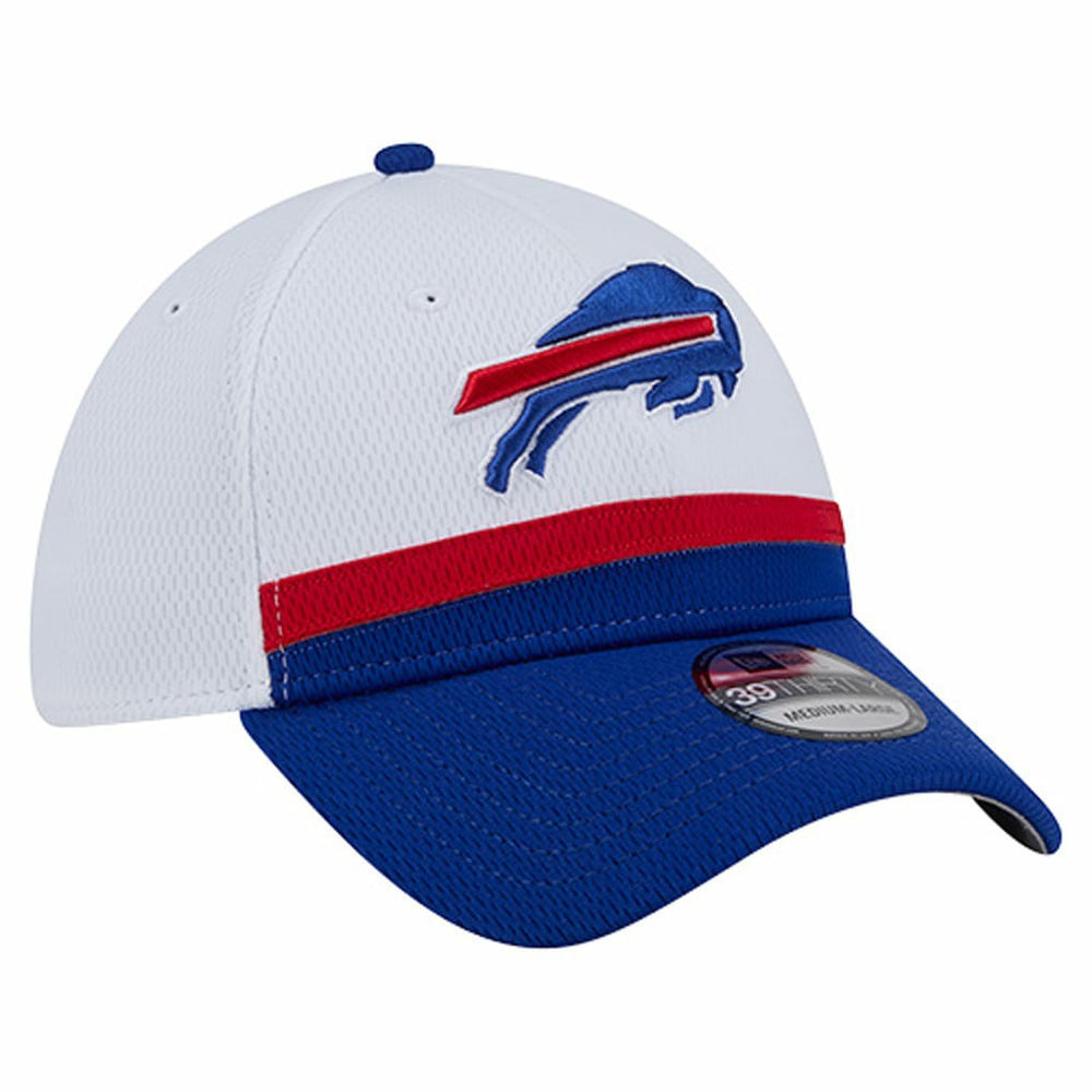 Dashmark Rays 39THIRTY Flex Hat - Buffalo Bills