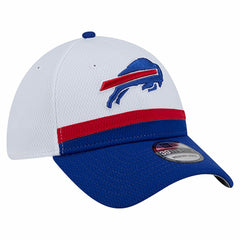 Dashmark Rays 39THIRTY Flex Hat - Buffalo Bills