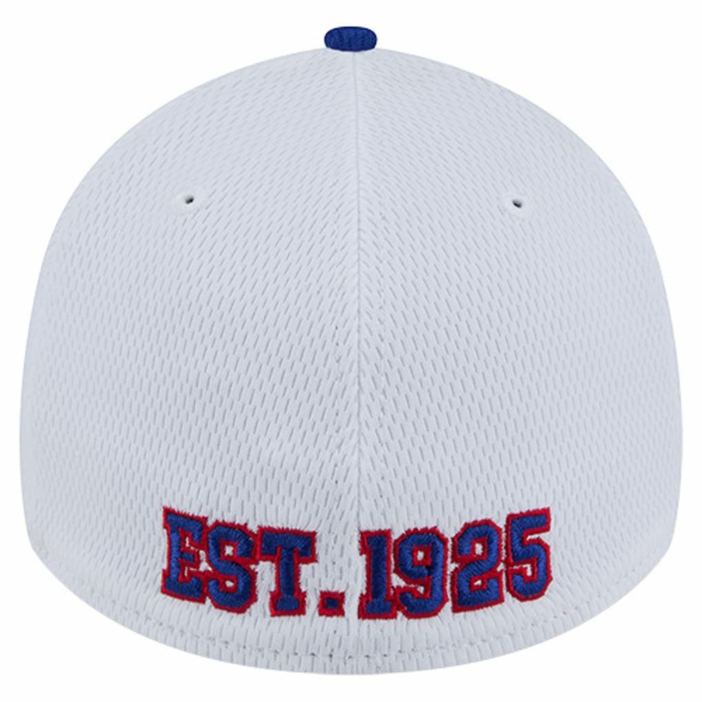 Dashmark Rays 39THIRTY Flex Hat - New York Giants