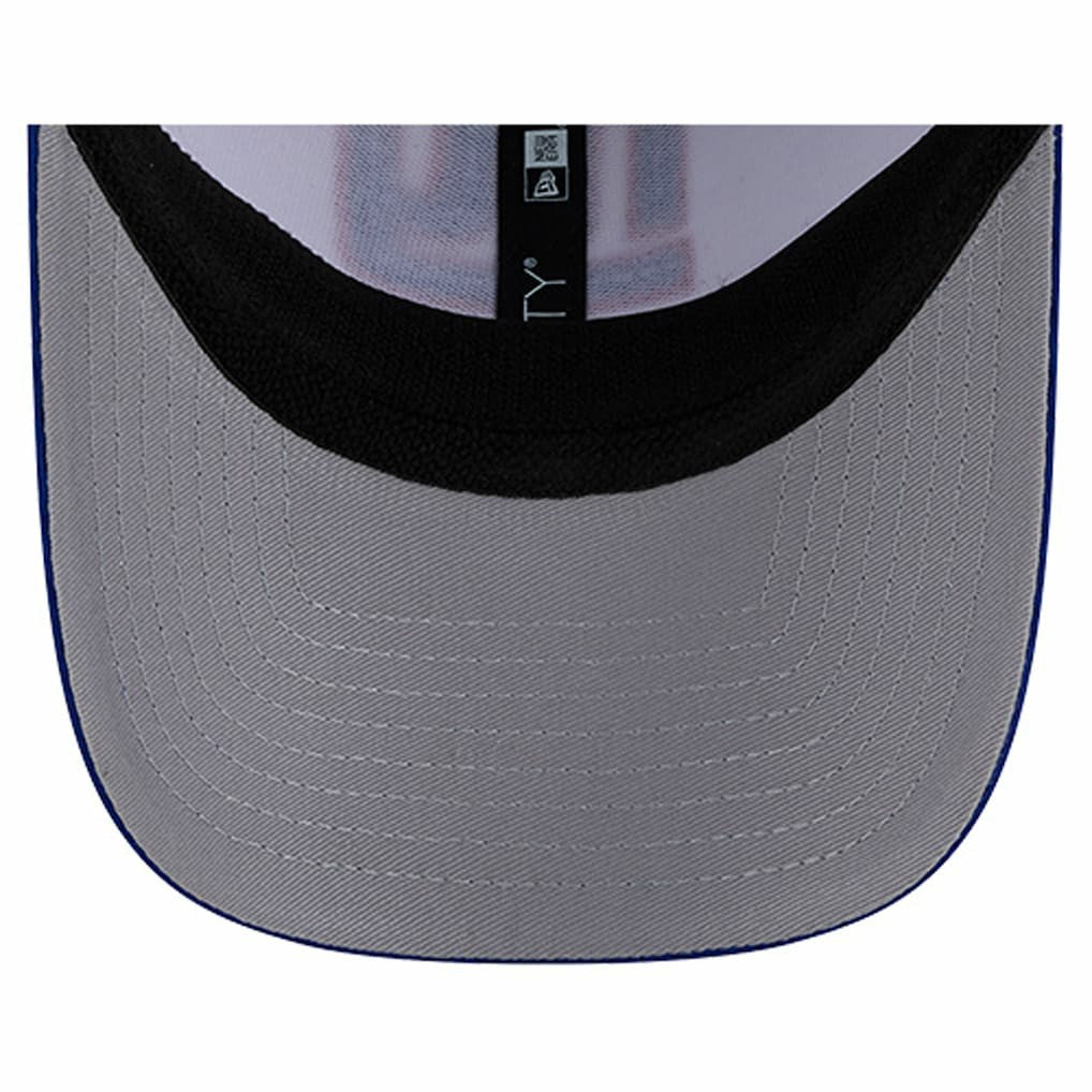 Dashmark Rays 39THIRTY Flex Hat - New York Giants