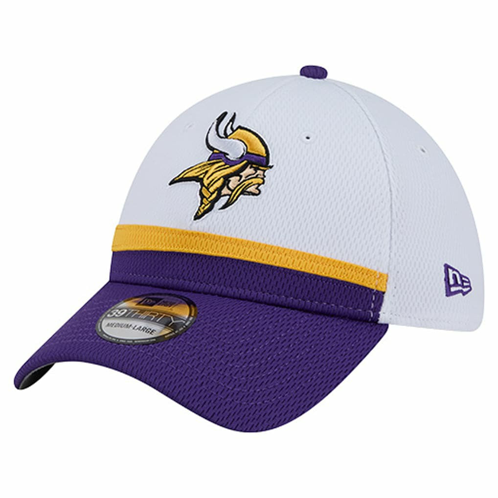 Dashmark Rays 39THIRTY Flex Hat - Minnesota Vikings