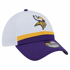 Dashmark Rays 39THIRTY Flex Hat - Minnesota Vikings