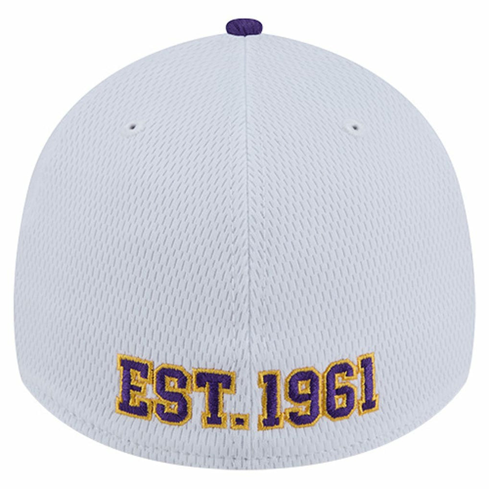 Dashmark Rays 39THIRTY Flex Hat - Minnesota Vikings