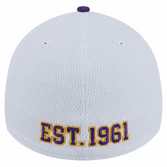 Dashmark Rays 39THIRTY Flex Hat - Minnesota Vikings