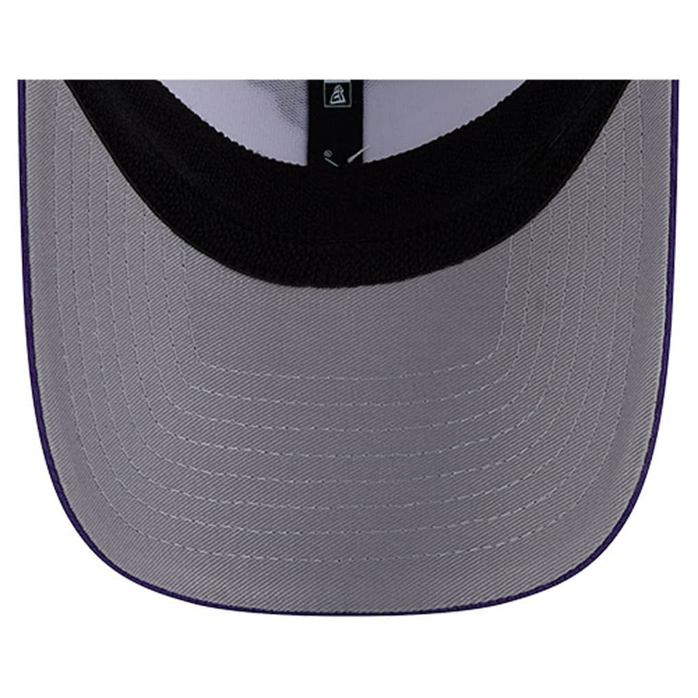 Dashmark Rays 39THIRTY Flex Hat - Minnesota Vikings
