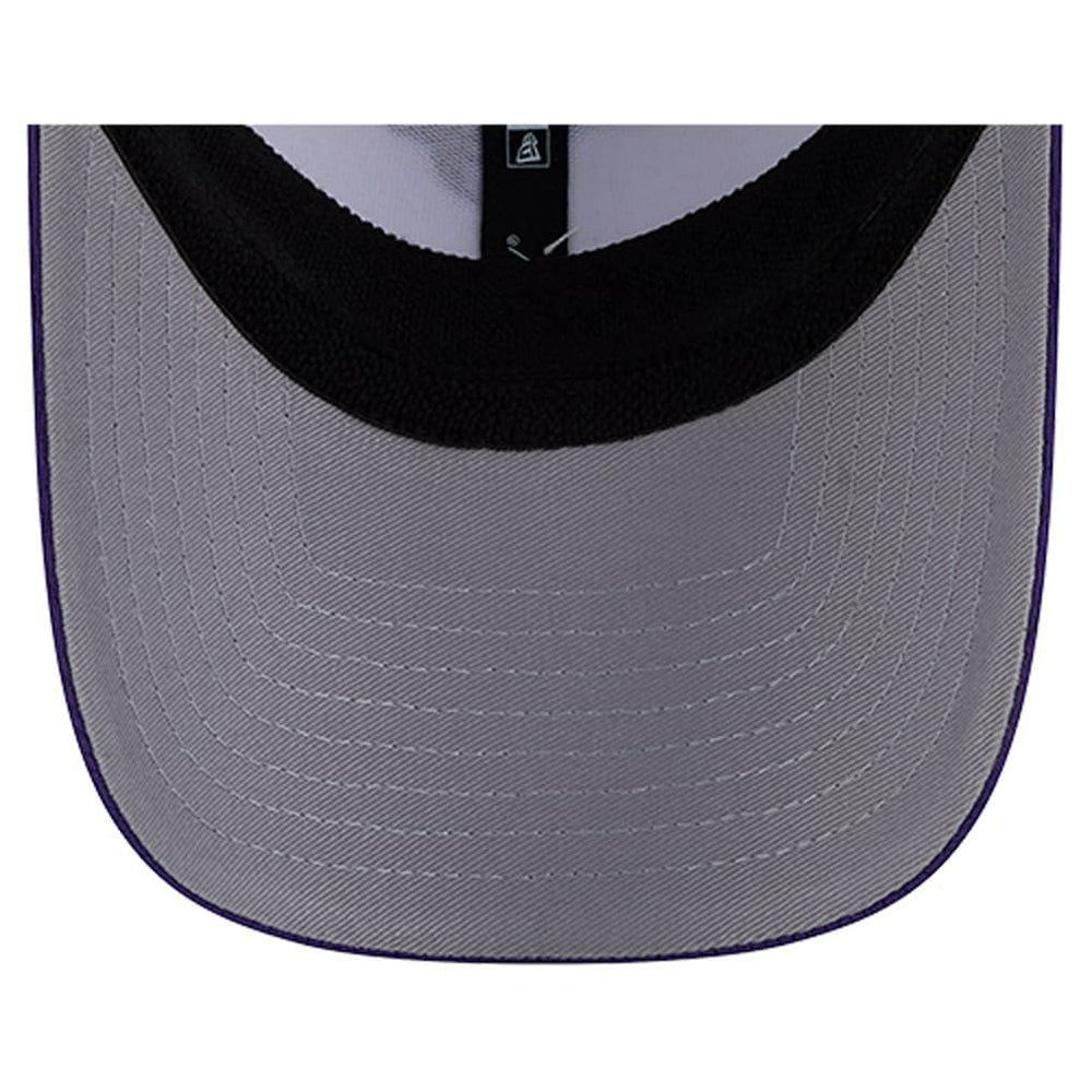 Dashmark Rays 39THIRTY Flex Hat - Minnesota Vikings