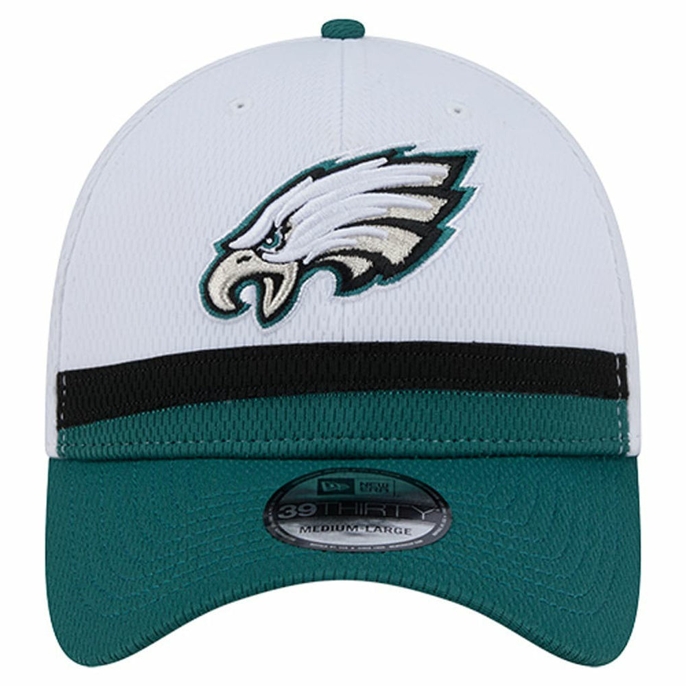 Dashmark Rays 39THIRTY Flex Hat - Philadelphia Eagles