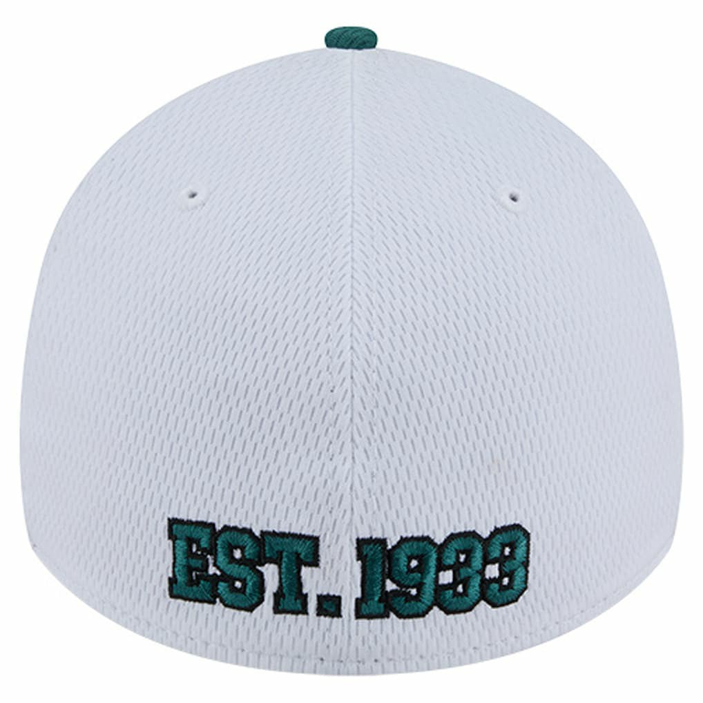 Dashmark Rays 39THIRTY Flex Hat - Philadelphia Eagles