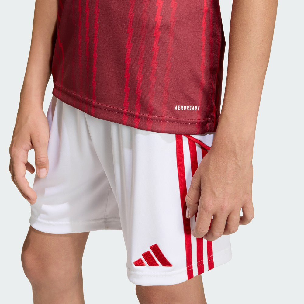 Arsenal Youth 2025/26 Pre-Match Training Jersey - Adidas Red
