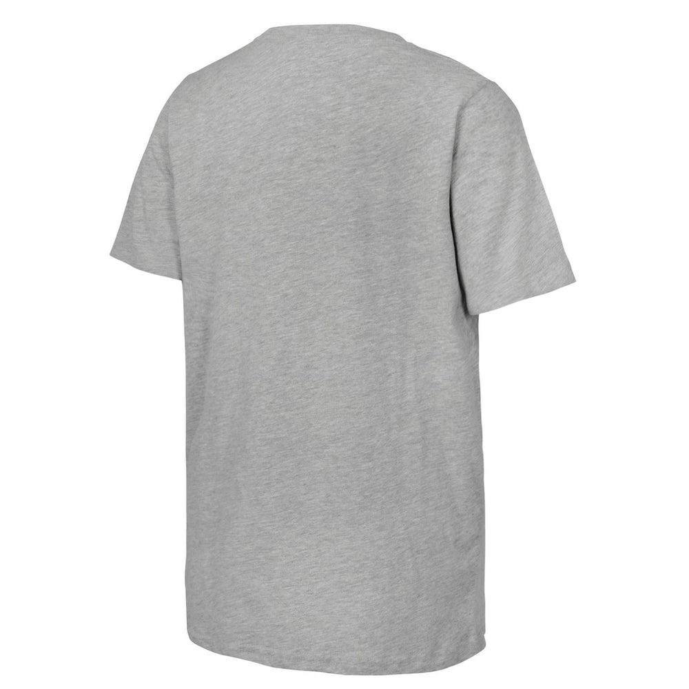 NBA Indiana Pacers Youth Heather Gray 2025 Eastern Conference Champions Locker Room T-Shirt for sale