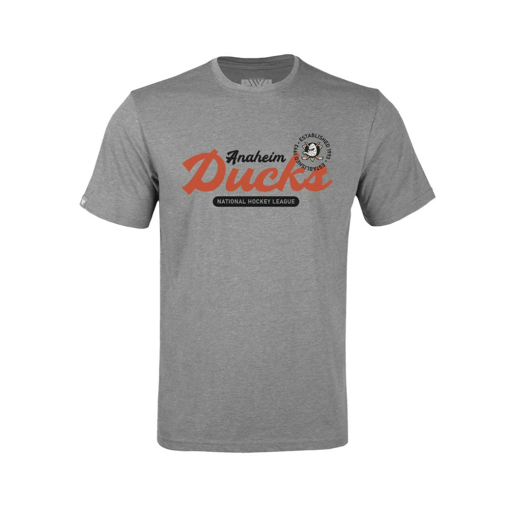 NHL Gray Anaheim Ducks Levelwear Youth Little Richmond Monument T-Shirt