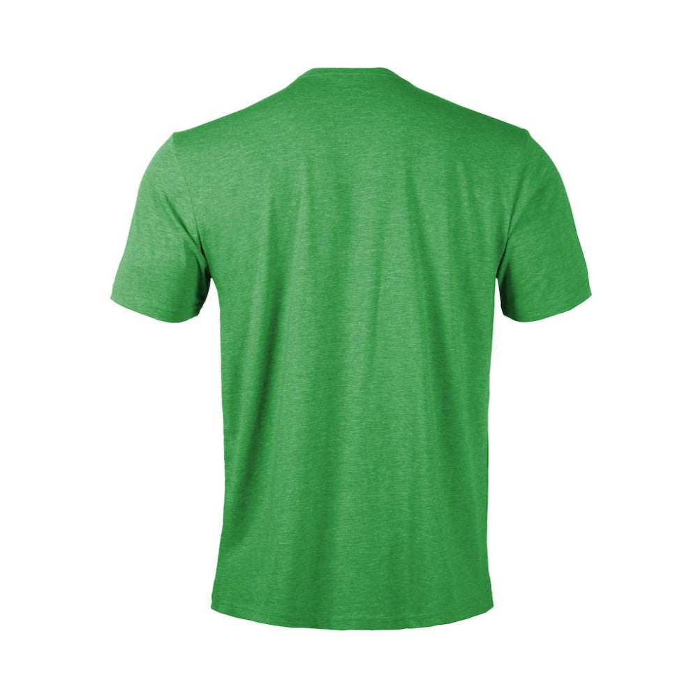 NHL Green Dallas Stars Levelwear Youth Little Richmond Monument T-Shirt