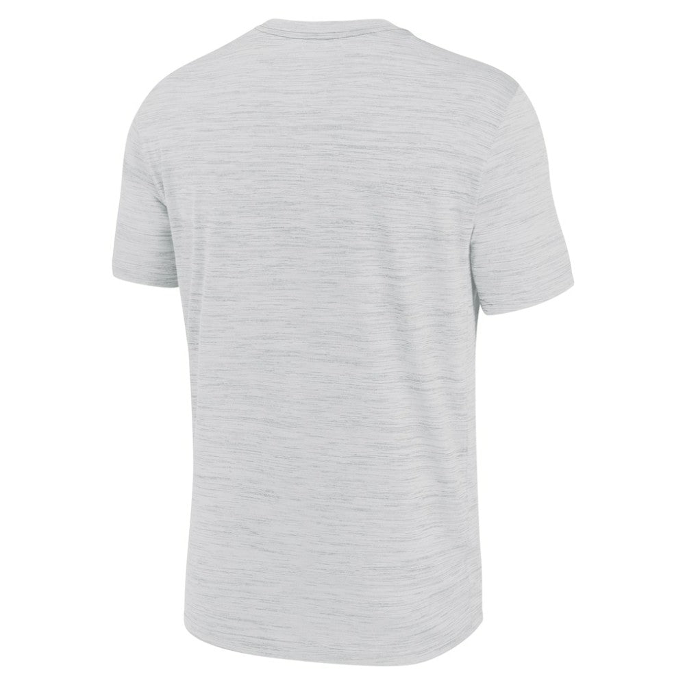 MLB Arizona Diamondbacks Nike Authentic Collection Velocity Dri-FIT T-Shirt