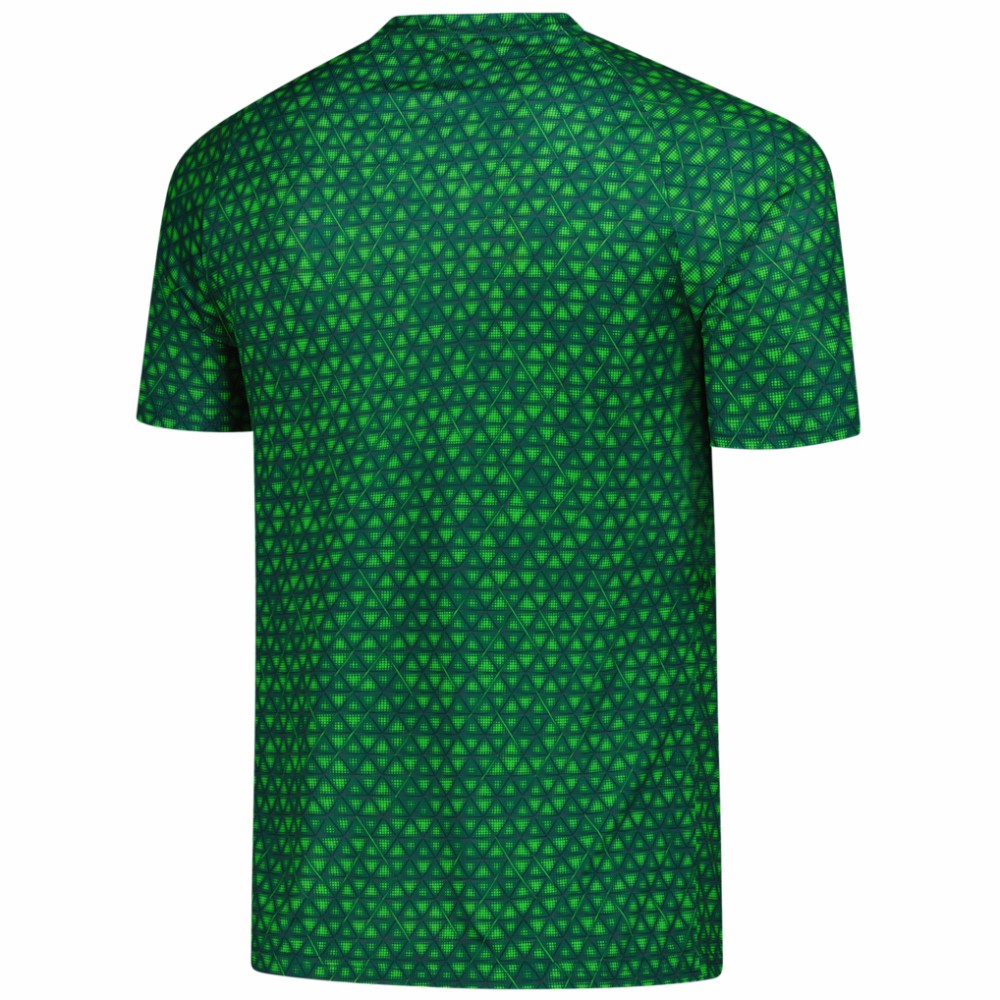 Manchester City 2025/26 Pre-Match Training Jersey - Puma Green