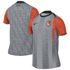 Chelsea 2025/26 Academy Pro Pre-Match Top - Nike Gray