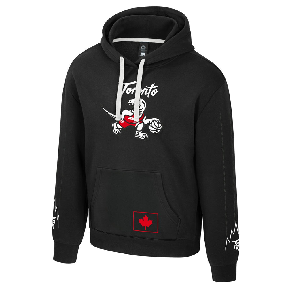 NBA Toronto Raptors Stadium Essentials Unisex 2025/26 City Edition City Star Hoodie