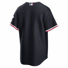 MLB Minnesota Twins Nike Alternate Stadium Jersey